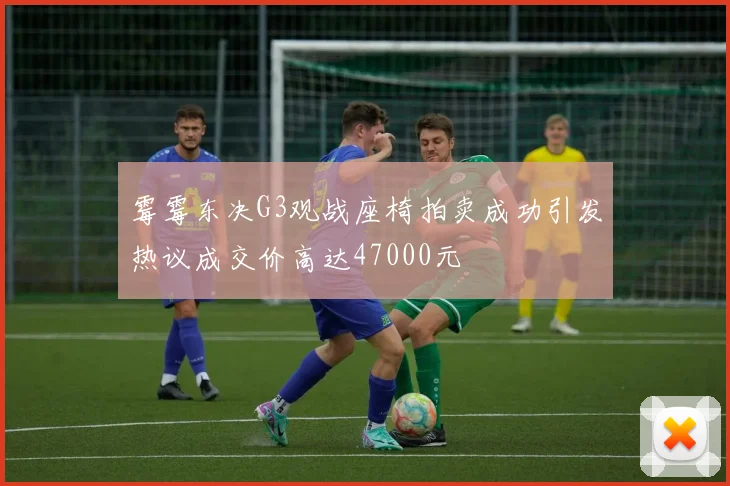 霉霉东决G3观战座椅拍卖成功引发热议成交价高达47000元