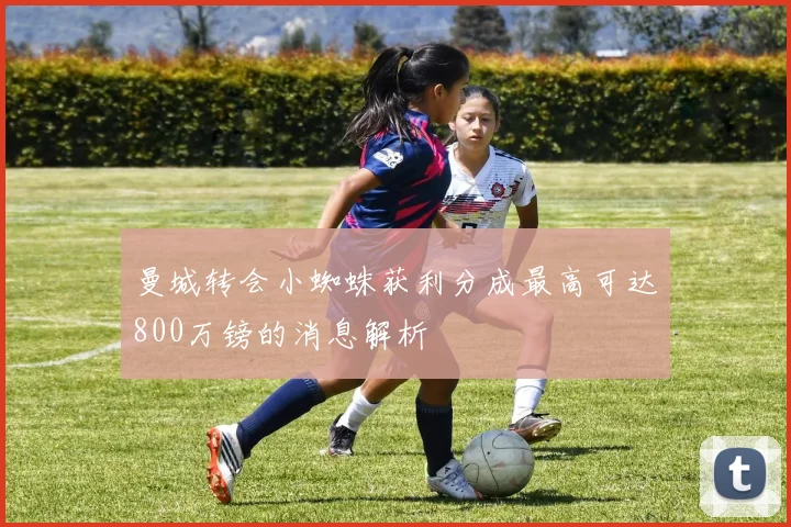 曼城转会小蜘蛛获利分成最高可达800万镑的消息解析